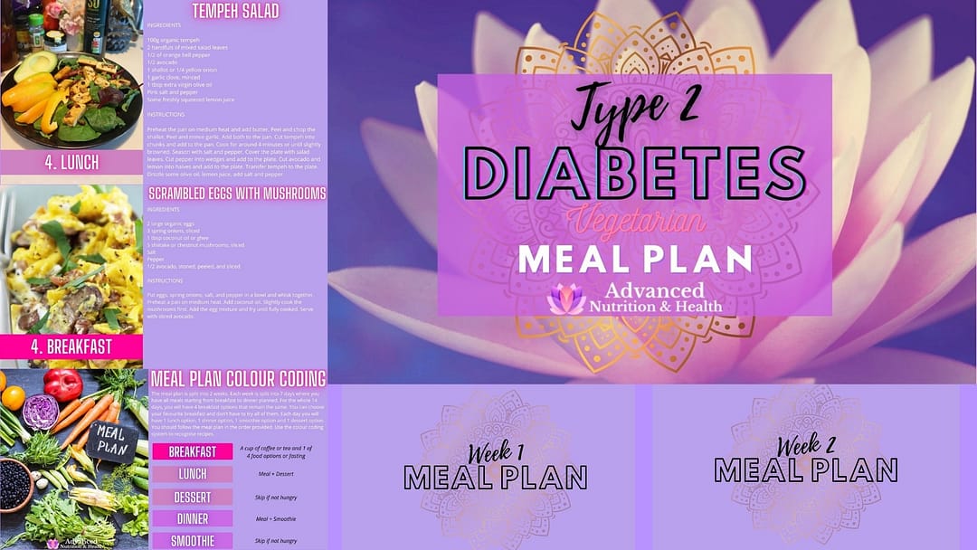 Type 2 diabetes vegetarian meal plan