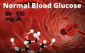 Normal blood glucose levels.