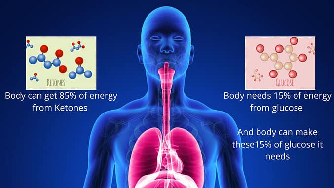 Body can run on 85% of fuel from Ketones and 15% Glucose.