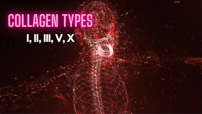 Different Collagen Types. Best Collagen Supplement UK. 
