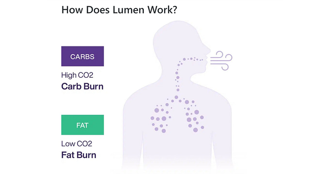 Lumen Review - How does it know what fuel you are using?