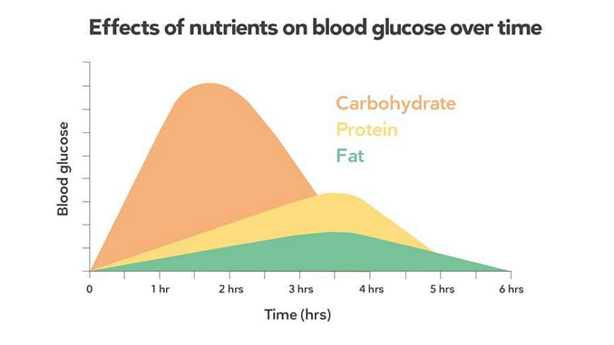 Macronutrient effects on blood glucose levels.