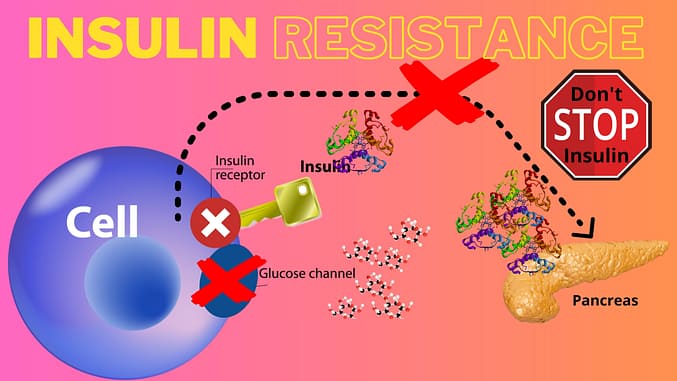 What is insulin resistance? This graph explains insulin resistance.