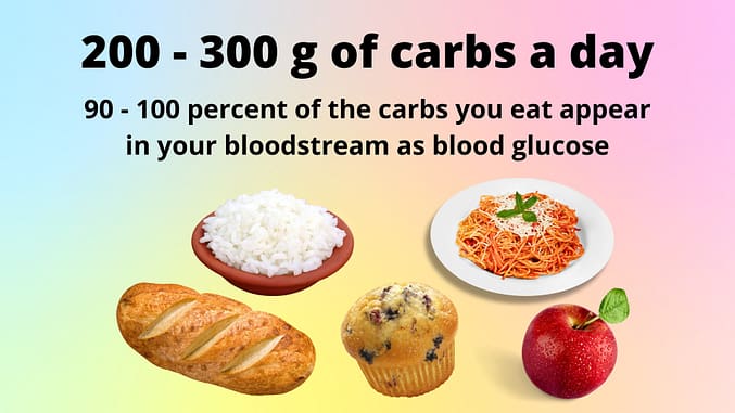 High Carbohydrate diet - 200-300g of Carbs a Day.