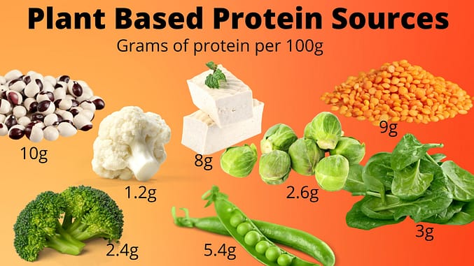 The best vegetarian and vegan plant-based protein sources.