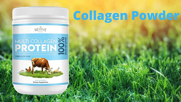 Collagen Powder