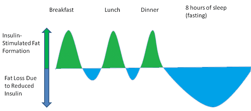 Reduce the Frequency of Eating