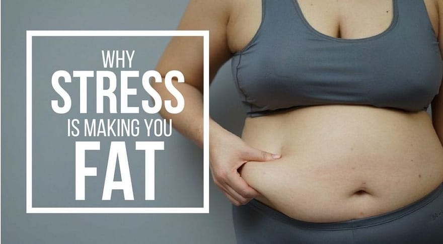 How to lose belly fat without counting calories or exercising too much?