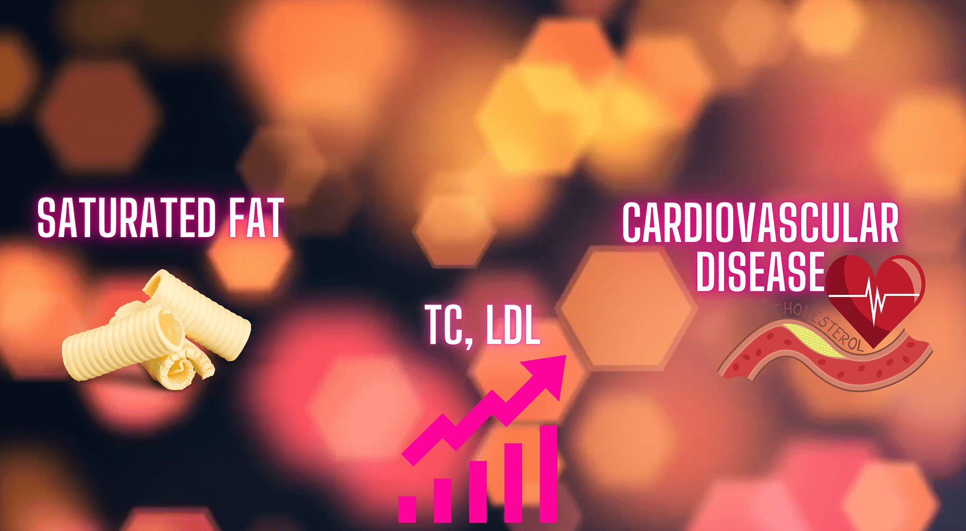 The second nutrition myth - Saturated fat is unhealthy, it increases the LDL (bad cholesterol) and increases the risk of cardiovascular disease.