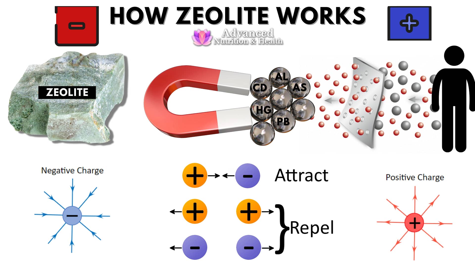 How zeolite works and helps you to detoxify from heavy metals?