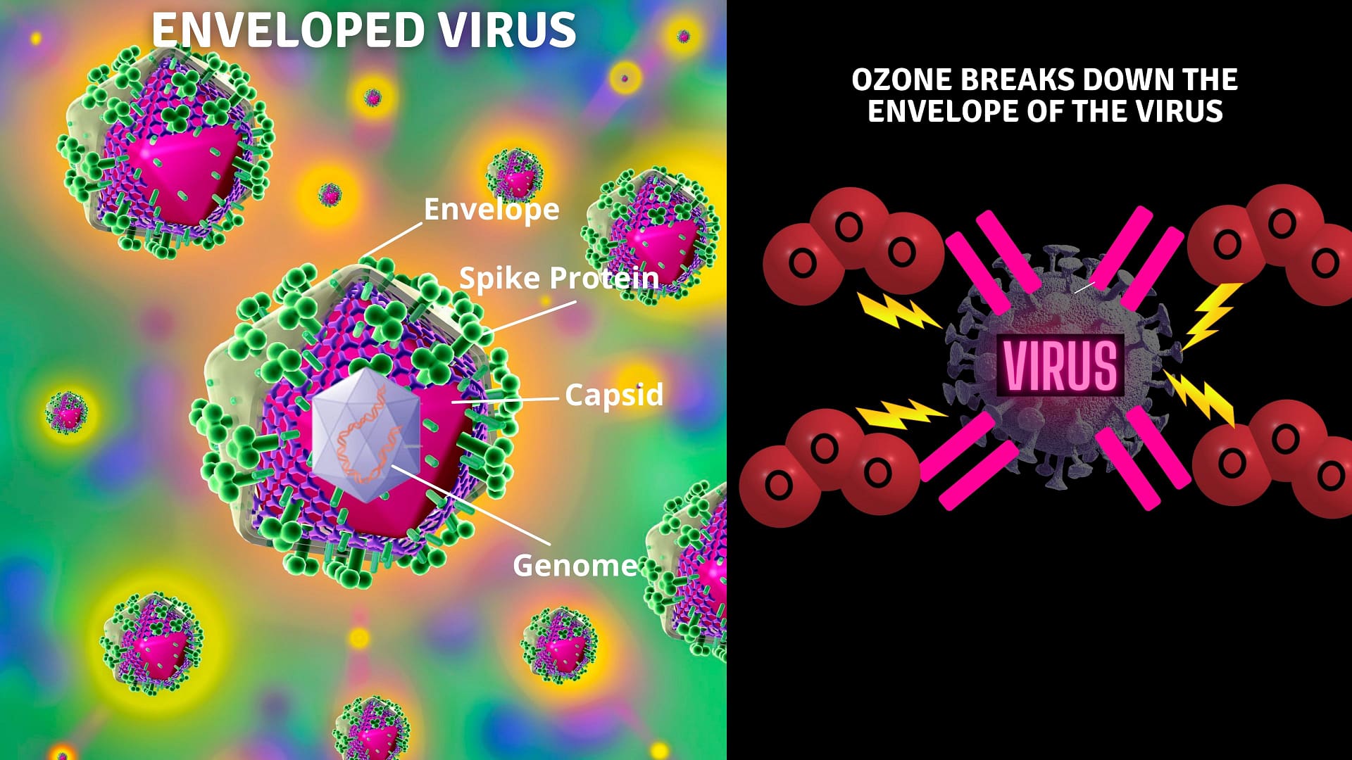 Ozone therapy benefits: virus inactivation seems to happen through the surrounding envelope damage.