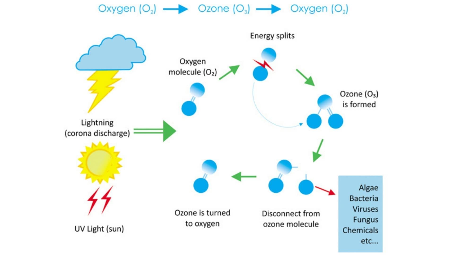 How is ozone formed?